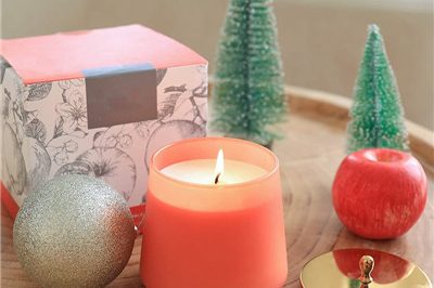 Custom logo luxury frosted glass candle container (6)