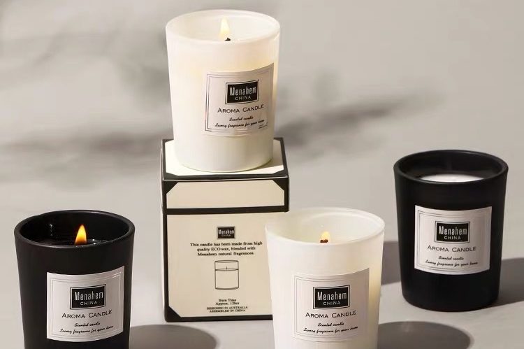 Fashionable matte glass candle container with lid (3)